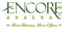 Encore Azalea Logo