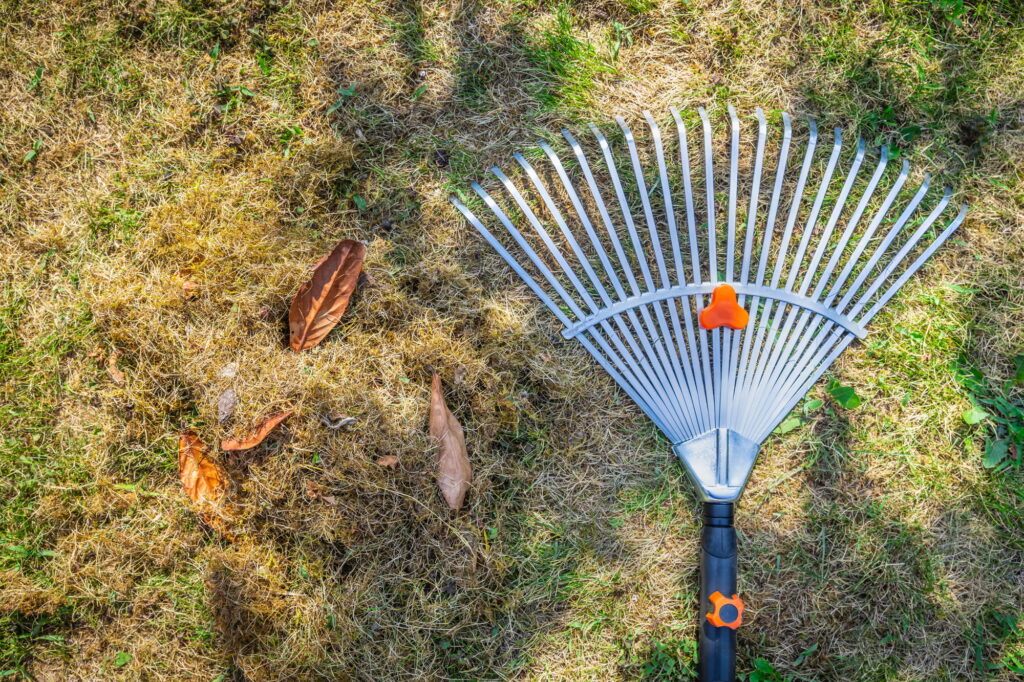 Metal rake on dry lawn with fallen leaves, highlighting seasonal yard cleanup and lawn care services. - Garden Guru Services Landscaping
